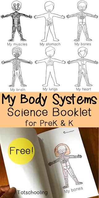 FREE My Body Science Booklet