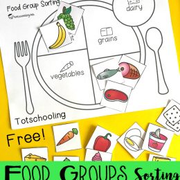 FREE Food Groups Sorting Activity