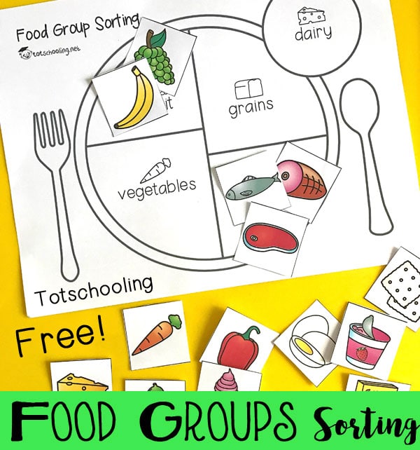 FREE Food Groups Sorting Activity