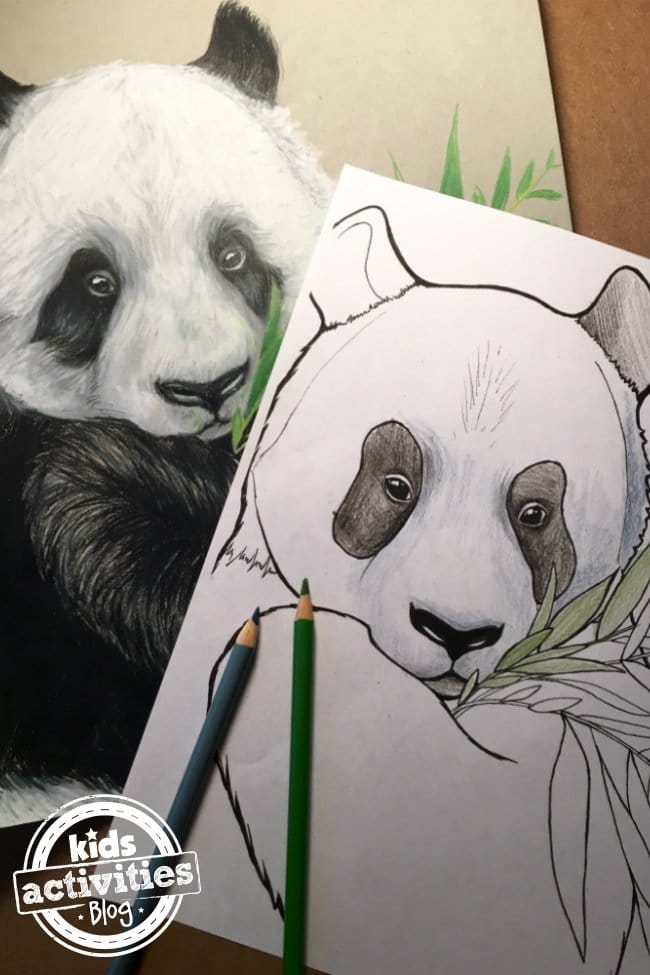 FREE Panda Coloring Pages