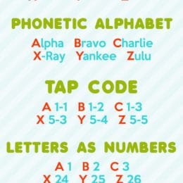 FREE Secret Spy Codes