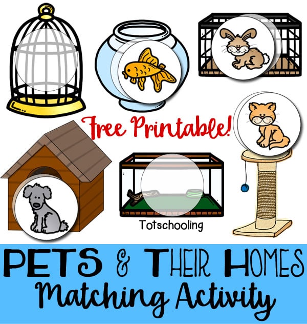 FREE Pets and Their Homes Matching Activity