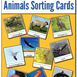 FREE Animal Sorting Cards