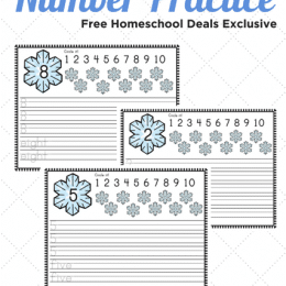 FREE SNOWFLAKE NUMBER PRACTICE PRINTABLES (Instant Download)