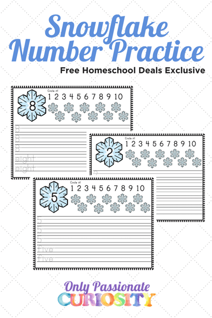 FREE SNOWFLAKE NUMBER PRACTICE PRINTABLES (Instant Download)