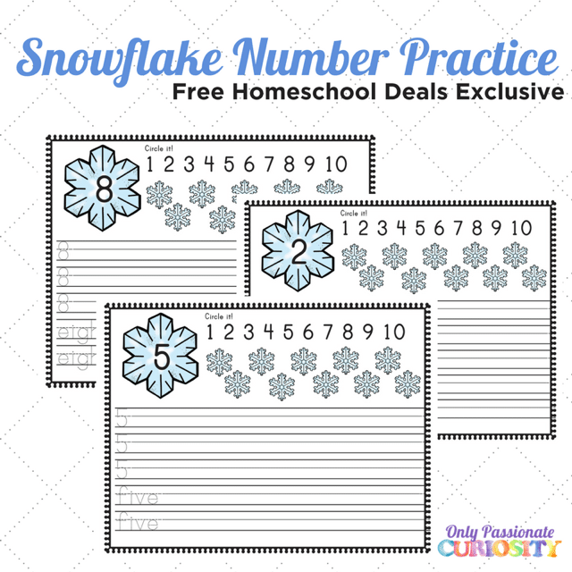 Snowflake Number Practice Worksheets