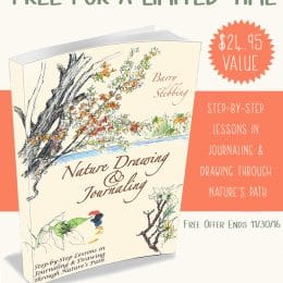 Free Nature Drawing & Journaling Curriculum - Limited Time!