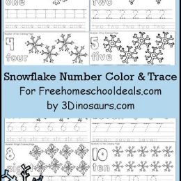 FREE SNOWFLAKE NUMBER COLOR & TRACE PRINTABLES (INSTANT DOWNLOAD)