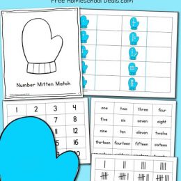 FREE NUMBER MITTEN MATCH FILE FOLDER GAME (Instant Download)