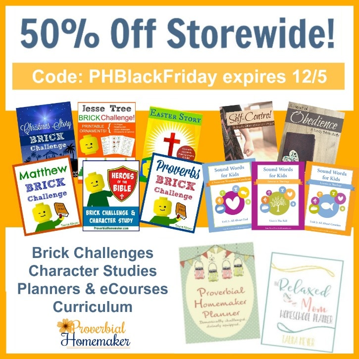 50% Off Digital Products at Proverbial Homemaker - Lego Challenges, Planners, & More!