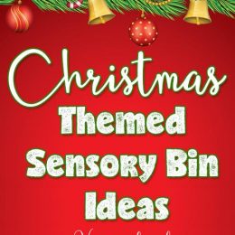 Christmas Themed Sensory Bin Ideas