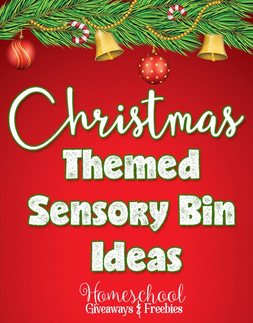 Christmas Themed Sensory Bin Ideas