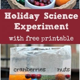Free Holiday Science Experiment Printable