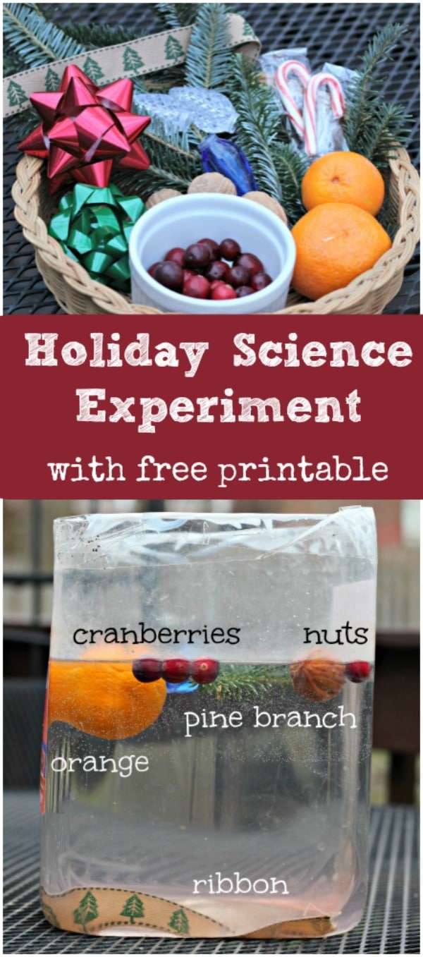 Free Holiday Science Experiment Printable