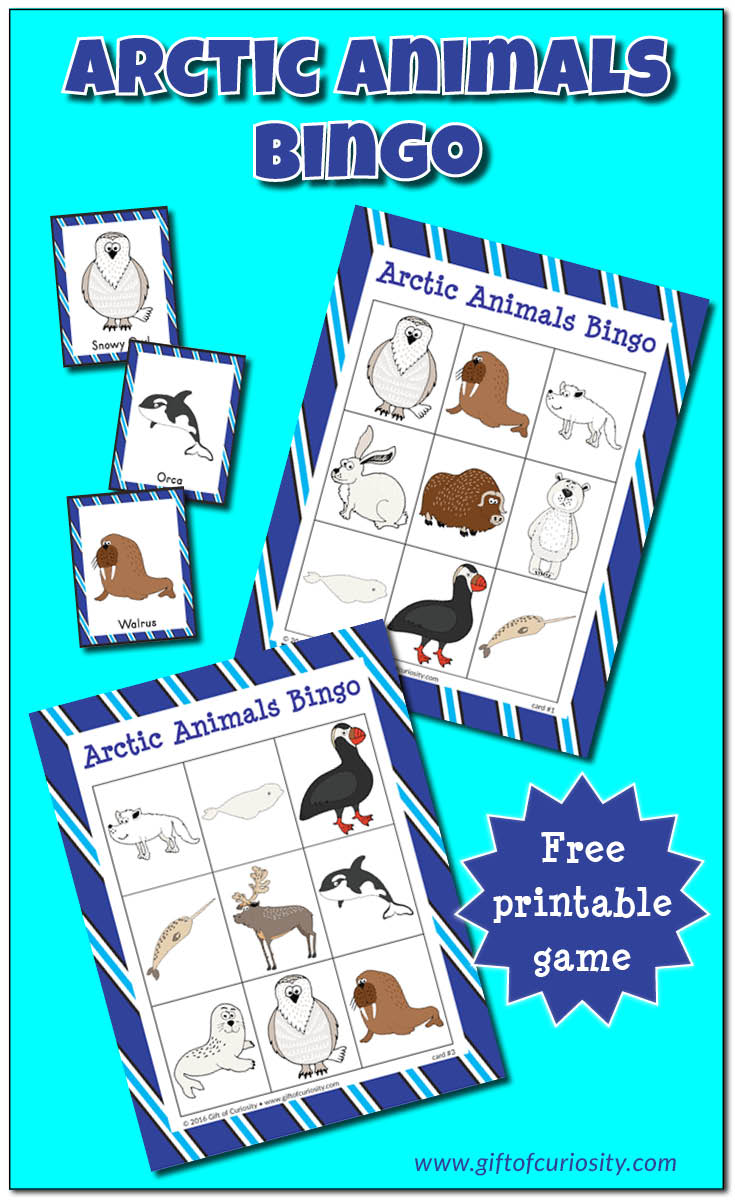 Free Arctic Animals BINGO Game