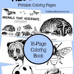 Free Animals that Hibernate Coloring Pages