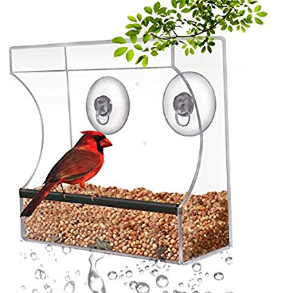 Clear Window Bird Feeder Only $16.72! (Reg. $22!)