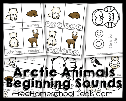 Arctic Animals Mini Pack