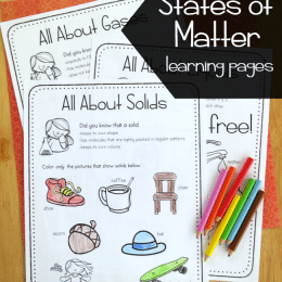 Free States of Matter Printable Pack