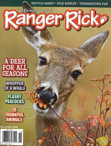 Ranger Rick Magazine Only $11.99/Year - Today Only!