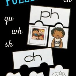 Free Digraph Puzzles