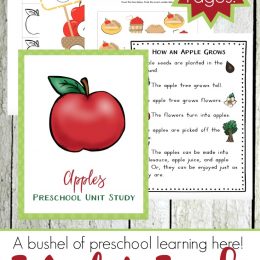 Free Preschool Apple Printables (40+ Pages)