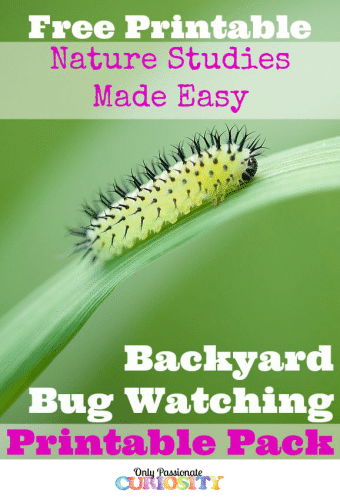 Free Backyard Bug Watching Book