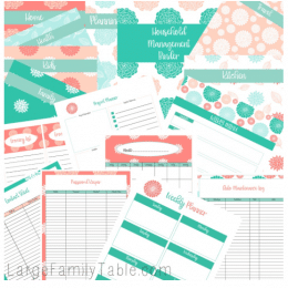 The Beautiful Household Management Binder Kit