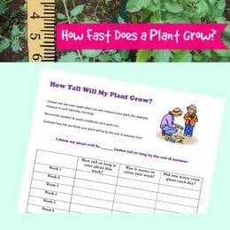 Free Plant Growth Activity