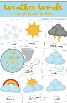 Free Weather Words 3-Part Cards