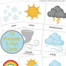 FREE Weather Words (3-part cards)