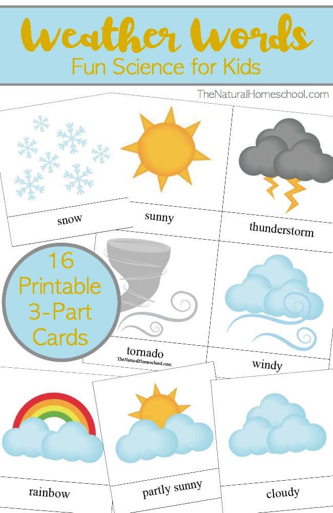 FREE Weather Words (3-part cards)