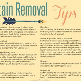 Free Stain Removal Tips Printable