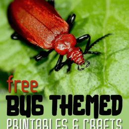 FREE Bug Themed Printables and Crafts