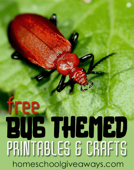 FREE Bug Themed Printables and Crafts