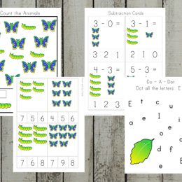 Free Butterfly Lice Cycle Learning Pack