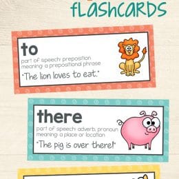 Free Homophone Flashcards