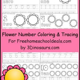 FREE FLOWER NUMBER COLOR & TRACE PRINTABLES (Instant Download)