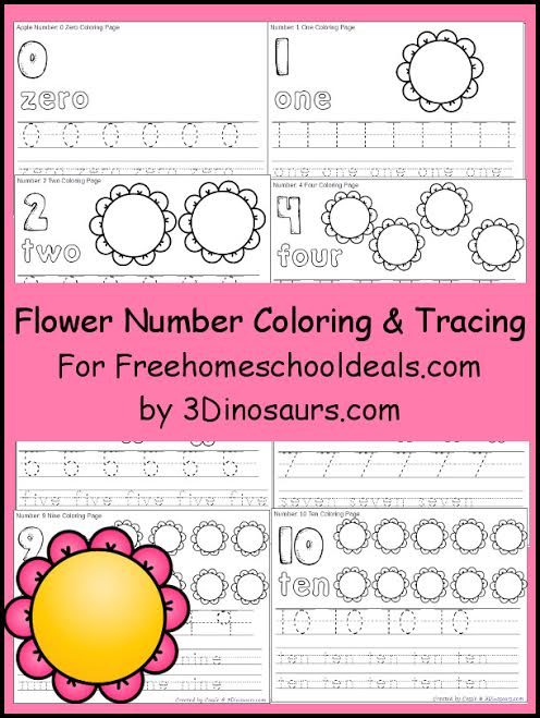 FREE FLOWER NUMBER COLOR & TRACE PRINTABLES (Instant Download)