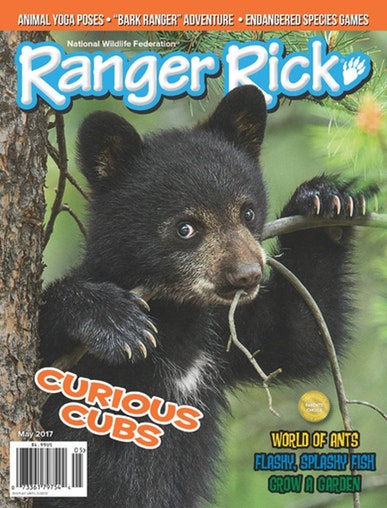 Ranger Rick Magazine Only $11.99/Yr!