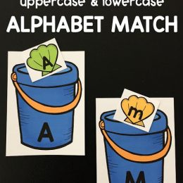 FREE Seashell Alphabet Matching Activity