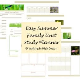 Free Summer Unit Study Planner