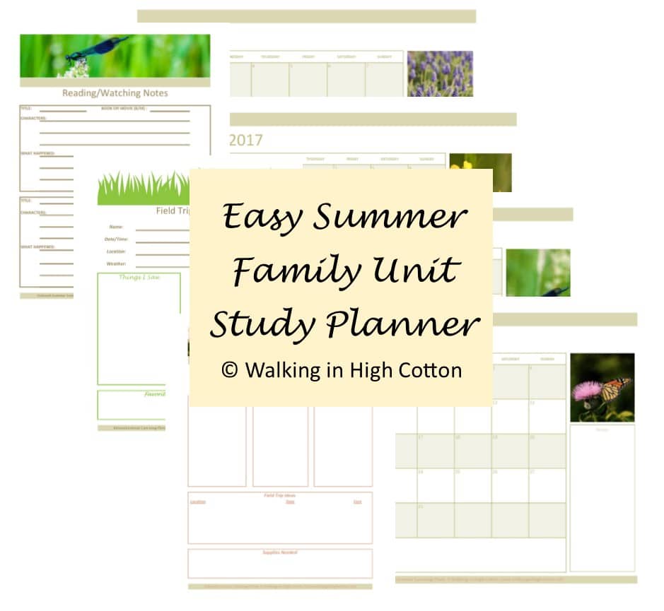 Free Summer Unit Study Planner