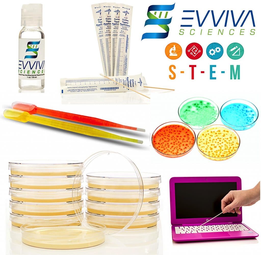 Amazing Bacteria Kit Only $20.55! (60% Off!)