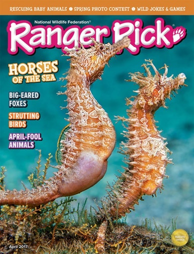 Ranger Rick Magazie Only $11.99/Year!