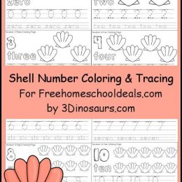 FREE SHELL NUMBER TRACE & COLOR PRINTABLES (Instant Download)