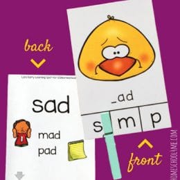 Free Self Checking Beginning Sounds Clip Cards