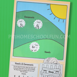 Free Vowels & Consonants File Folder Game