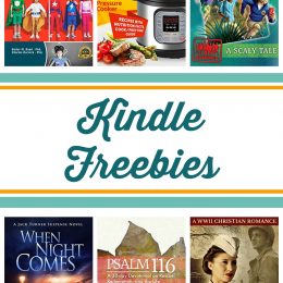 Free Kindle Books: Unplug & Play, Backyard Chickens, When Night Comes, & More!