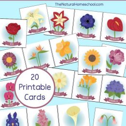 FREE Flower Memory Game